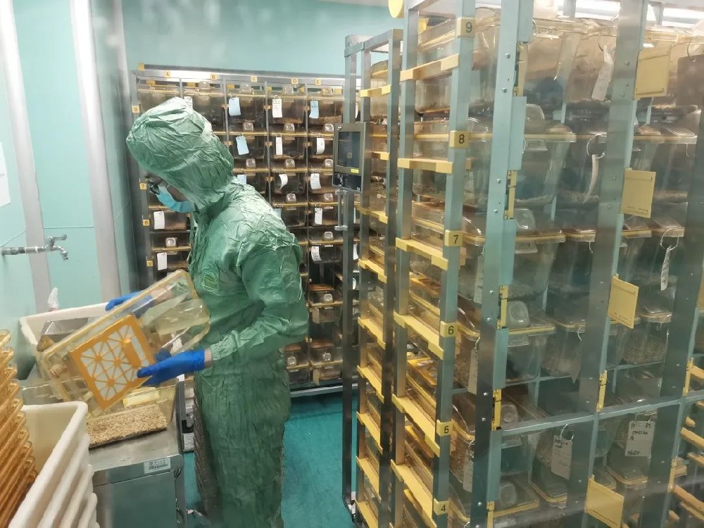 動物實驗室建設(shè)要求與注意事項